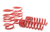 H&R 08-13 BMW M3 Coupe/M3 Sedan E92 Race Spring