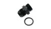 Vibrant -3 Male AN x -6 Male ORB Flare Straight Adapter w/O-Ring