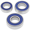 All Balls Racing 87-07 Kawasaki KL650 A (KLR) Wheel Bearing Kit - Rear