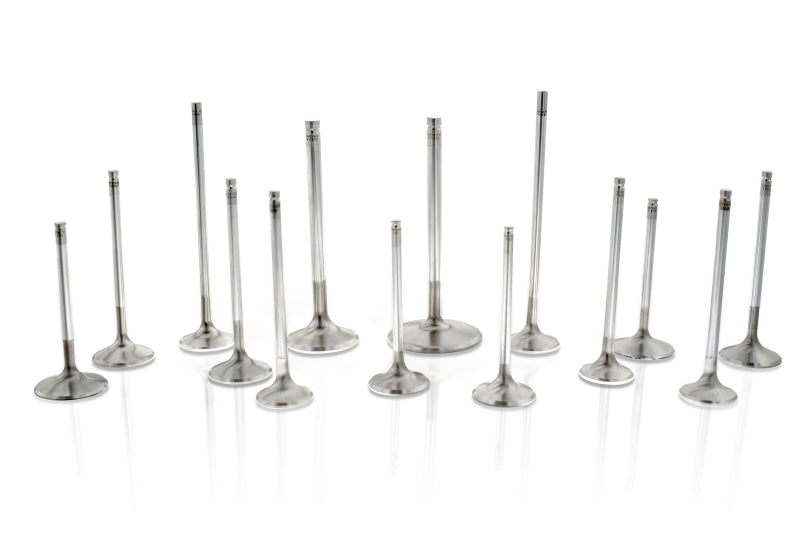 Ferrea Honda F20C 31mm 5.46mm 109mm 24 Deg Flo Stock 6000 Series Exhaust Valve - Set of 8