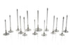 Ferrea VW 1.8T 20V 26.9mm 5.97mm 105.1mm 24 Deg S-Flo Stk Grve Comp Plus Intake Valve - Set of 12