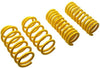 ST Sport-tech Lowering Springs 15-16 Golf VII / Audi A3 (8V)