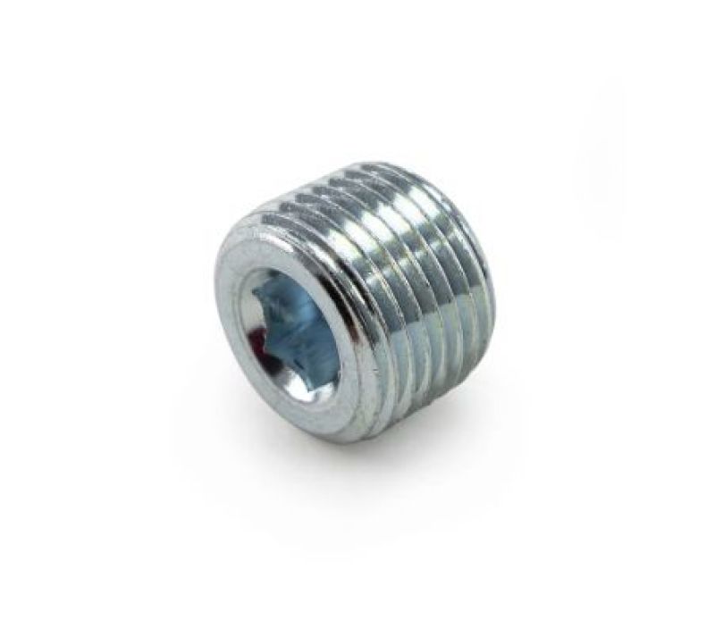 Killer B 1/2in NPT Chrome Plated Steel Plug